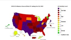 Alerta de los CDC: 44 estados experimentan altos niveles de enfermedades respiratorias