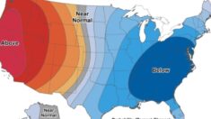 Agencia federal dice que gélidas temperaturas árticas afectarán la mayor parte de EE.UU. en Navidad