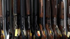 Juez: Prohibición de Rhode Island a cargadores de armas de alta capacidad es constitucional