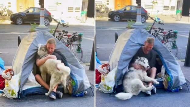 VIDEO: Husky se enamora de un hombre sin hogar en París y su vínculo le cambia la vida