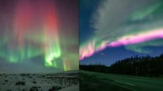“Inspiradoras vistas”: Observador de auroras capta auroras boreales anaranjadas y rosadas en Noruega