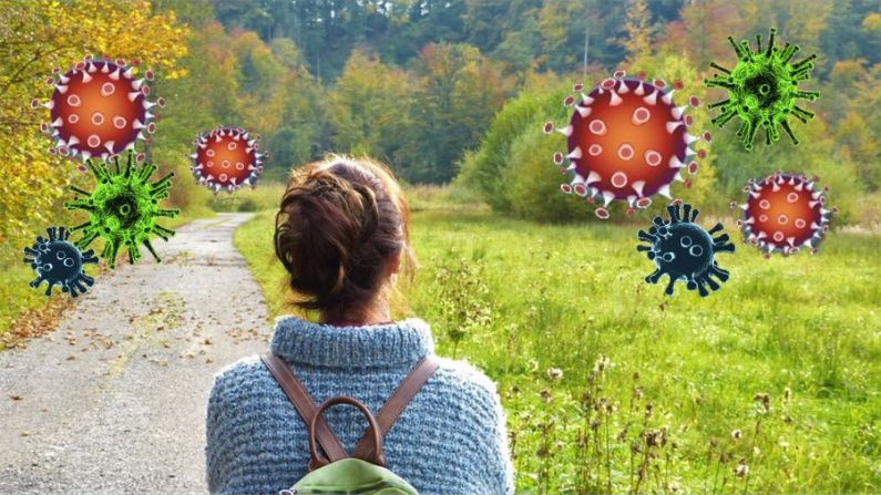 Los leucocitos atacan al virus en el sistema inmunitario. imagen editada por The Epoch Times (Píxabay /silviarita/ iXimus)