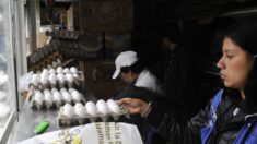 EE.UU. reporta aumento en volumen de huevos mexicanos decomisados en frontera
