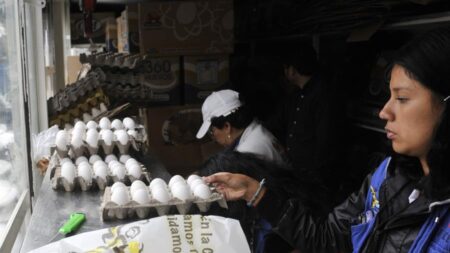 EE.UU. reporta aumento en volumen de huevos mexicanos decomisados en frontera