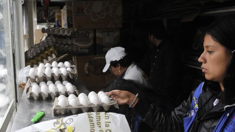 Fotografía de archivo de personas que compran huevos. EFE/Mario Guzmán