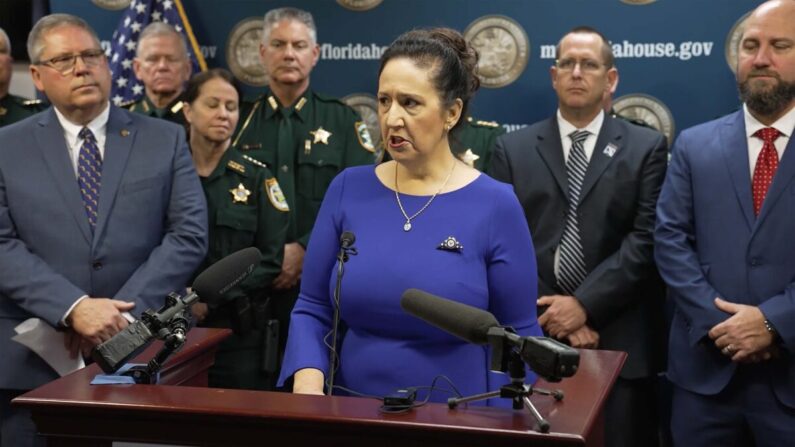 Donna Michaels habla en apoyo de HB543 que permitiría a los ciudadanos llevar armas ocultas sin permiso en Florida, durante una conferencia de prensa en Tallahassee, 30 de enero 2023. (Captura de pantalla del vídeo de la Cámara de Representantes de Florida)
