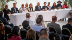 Misión de la OEA en Colombia considera «señal positiva» cese el fuego
