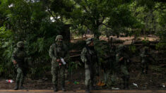 Ejército mexicano destruye campamentos del narco en la frontera con Arizona