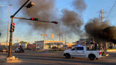 Aerolíneas cierran operaciones por violencia en Sinaloa tras captura de capo