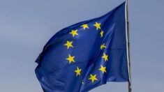 Comentario de funcionaria de la UE sobre leyes contra discurso de odio es “escalofriante”, dice defensora