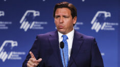 DeSantis propone disolver el «reino corporativo» de Disney y ponerlo bajo el control de Florida