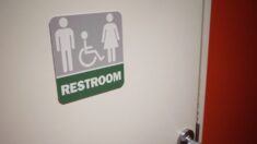 Corte de Apelaciones de Florida respalda norma del baño transgénero de una Junta Escolar local
