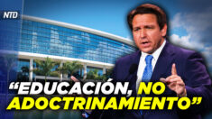 NTD Noche [31 ene] DeSantis presenta reforma de educación; Arizona: Piden investigar a Kari Lake