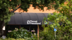 Corte Suprema de Idaho ratifica leyes estatales sobre aborto y rechaza impugnación de Planned Parenthood