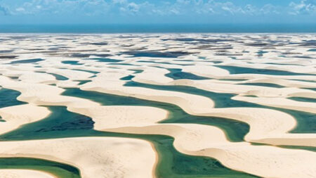 ¿Por qué este “desierto” surrealista está lleno de cálidas piscinas naturales y peces vivos cada año?