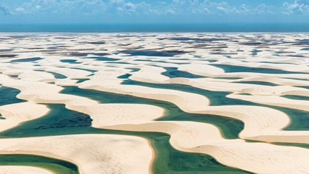 ¿Por qué este «desierto» surrealista está lleno de cálidas piscinas naturales y peces vivos cada año?