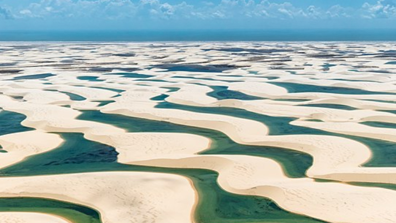 ¿Por qué este "desierto" surrealista está lleno de cálidas piscinas naturales y peces vivos cada año?