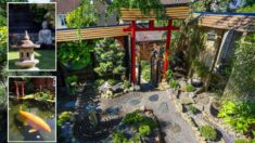 Fotos: Papá pasa 13 años transformando su patio en un tradicional jardín japonés