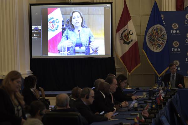 La presidenta peruana, Dina Boluarte (en pantalla), habla durante una intervención virtual ante el Consejo Permanente de la Organización de Estados Americanos (OEA), en la sede del organismo en Washington (EE. UU). EFE/Lenin Nolly
