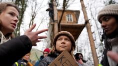 Policía alemana desaloja a Thunberg de protesta contra una mina de lignito