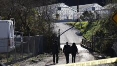 Dos mexicanos figuran entre los 7 muertos en tiroteo en granja de California