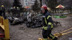 Mueren el ministro del Interior y su adjunto en un accidente de helicóptero en las afueras de Kiev