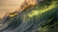 Fotógrafo oceánico capta olas cristalinas congeladas en el tiempo