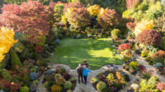 Jardín de una pareja de jubilados es un espectacular oasis rebosante de color con 3000 plantas