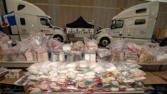 Policía de Toronto incauta 390 kilos de drogas procedentes de México