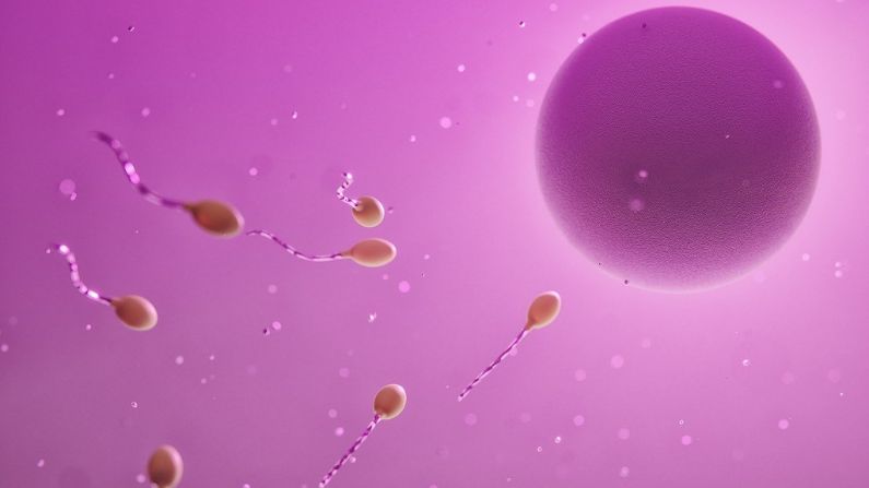 Un nuevo método anticonceptivo masculino inmoviliza temporalmente los espermatozoides y los incapacita para atravesar el cuello del útero y llegar a la vagina (Pixabay / videomediaart)