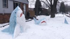 Profesora de arte crea increíbles «tiburones de nieve» en su patio y se vuelven virales