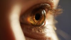 2 Terapias alimentarias para tratar las cataratas y el glaucoma, remedios milagrosos contra la ceguera