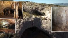 Espeleólogo tropieza con cueva intacta desde hace miles de años, llena de marcas de osos prehistóricos