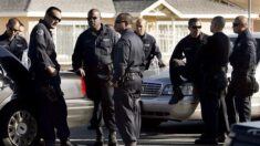 Más de 360 detenidos en operativo contra la trata de personas en California