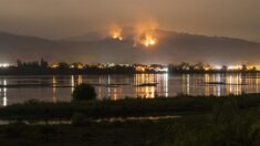 Se decretará toque de queda en epicentro de los incendios en Chile