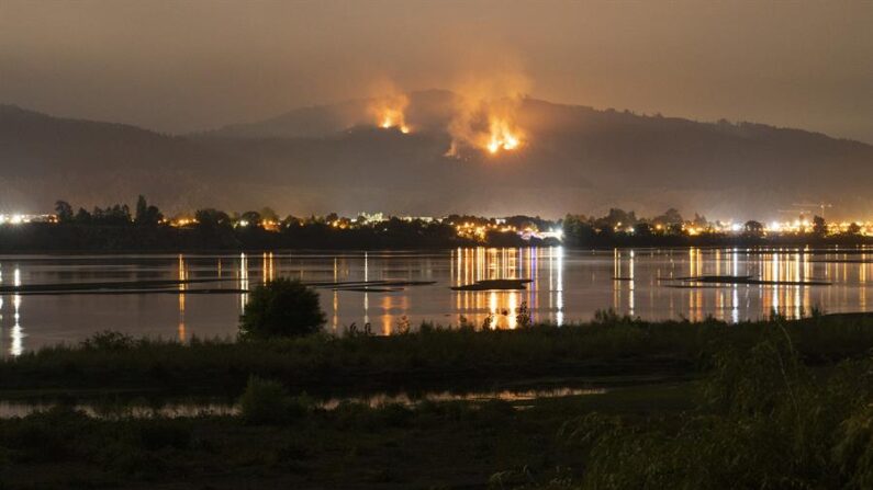 Fotografía de un incendio forestal en la comuna de Chiguayante, el 9 de febrero de 2023 en la región del Bio Bio, Chile. EFE/ Adriana Thomasa
