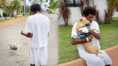 VIDEO: Perro que esperó semanas fuera del hospital a su dueño sin hogar por fin vuelve a sus brazos