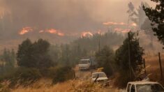 Unos 300 incendios siguen activos en Chile, con 425,000 hectáreas calcinadas