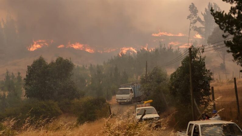 Vecinos evacúan, el 9 de febrero de 2023, por un incendio forestal en sector Rinconada de la comuna de Quillón, región de Ñuble (Chile). EFE/Esteban Paredes Drake