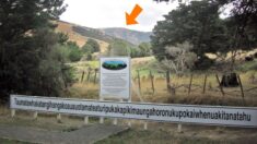 Parece una colina normal en Nueva Zelanda, pero tiene el nombre más largo del mundo: ¡Pruebe decirlo!