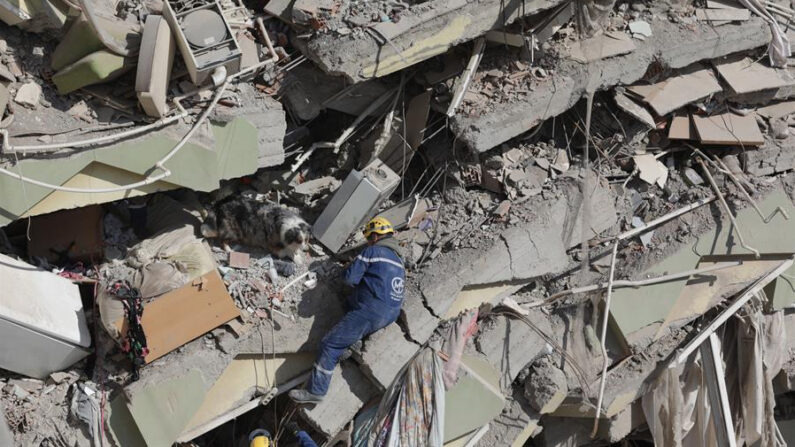 El equipo de rescate francés Corps Mondial de Secours con su perro de búsqueda busca supervivientes del terremoto entre los escombros de un edificio derrumbado en Kahramanmaras, Turquía, el 11 de febrero de 2023. EFE/Abir Sultan
