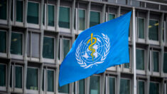 EE.UU. está comprometido con el acuerdo de la OMS sobre pandemias, según embajadora