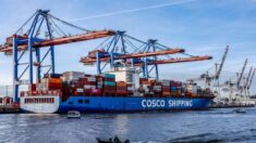 Índice de carga de contenedores de China se desploma tras 5 meses seguidos de exportaciones debilitadas