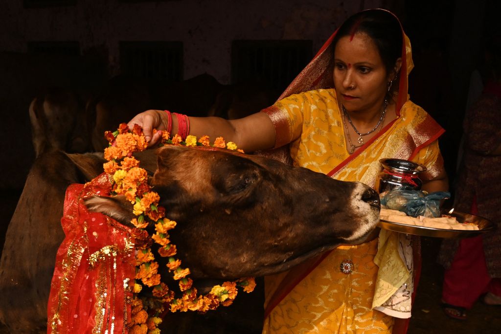 India busca remplazar San Valentín con el día de "abrazar una vaca"