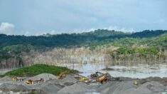 Minera canadiense deja de procesar cobre en medio de conflicto en Panamá
