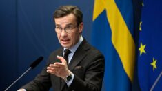 Avión del primer ministro sueco, obligado a realizar aterrizaje de emergencia