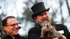 Marmota Phil «predice» seis semanas más de invierno en Estados Unidos