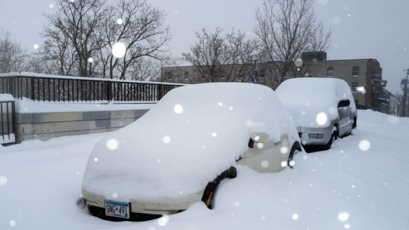 Cae nieve mientras los coches permanecen aparcados bajo un manto de nieve el 23 de febrero de 2023 en Minneapolis, Minnesota. (Stephen Maturen/Getty Images)