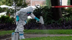 La OMS convoca a una reunión «urgente» respecto a Marburgo, uno de los virus más mortales del mundo