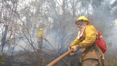 Cuatro muertos en el grave incendio forestal que azota el centro de Chile